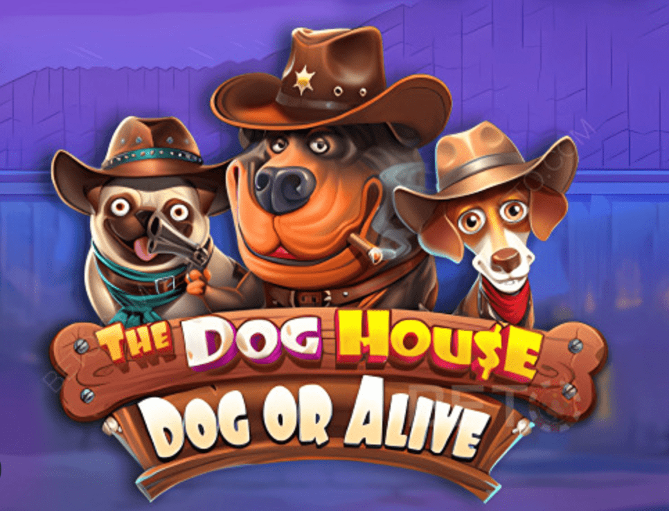 The Dog House Dog or Alive